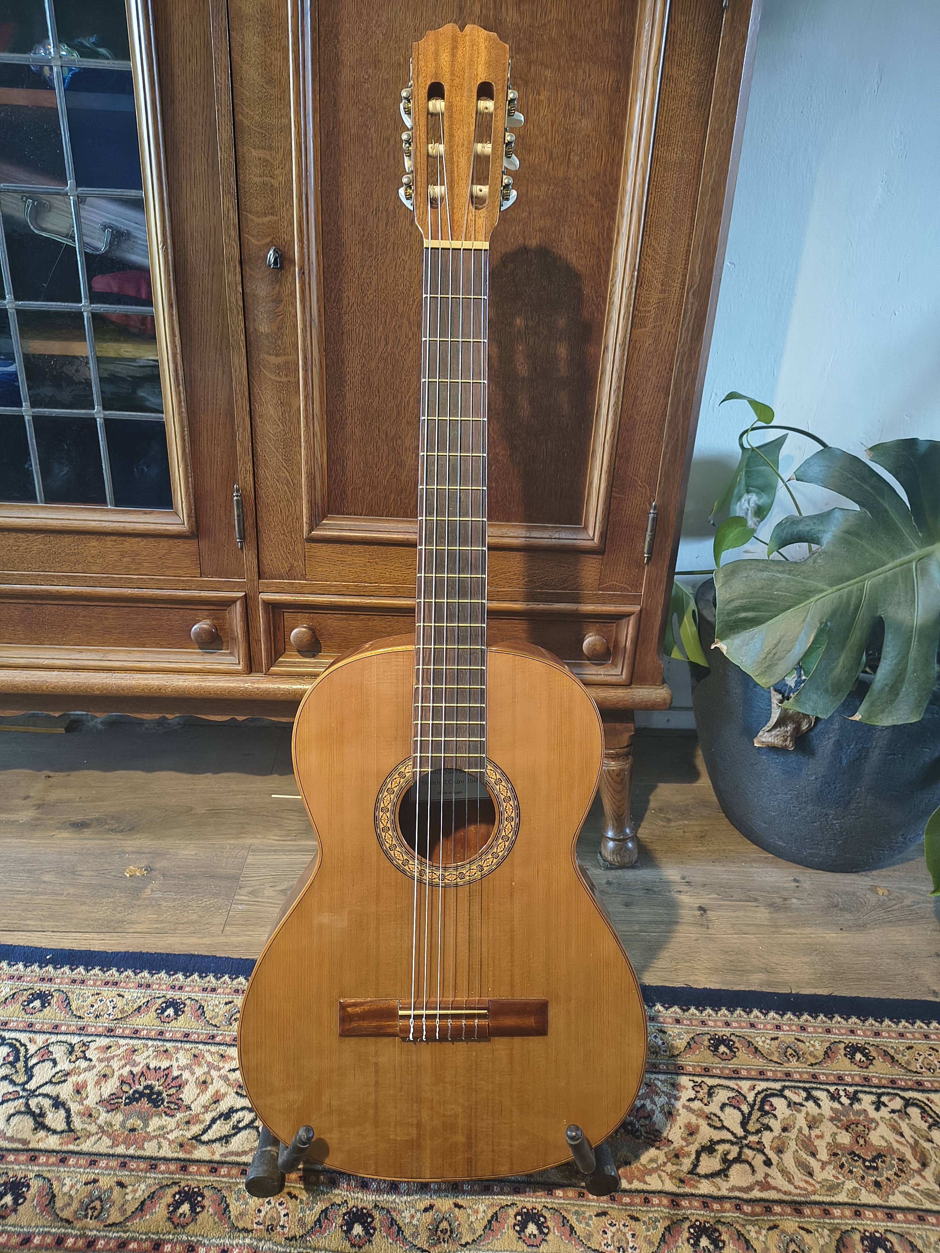 IMG 20260313 100851844 HDR